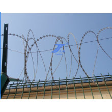 Galvanized Razor Barbed Wire (TS-L25)